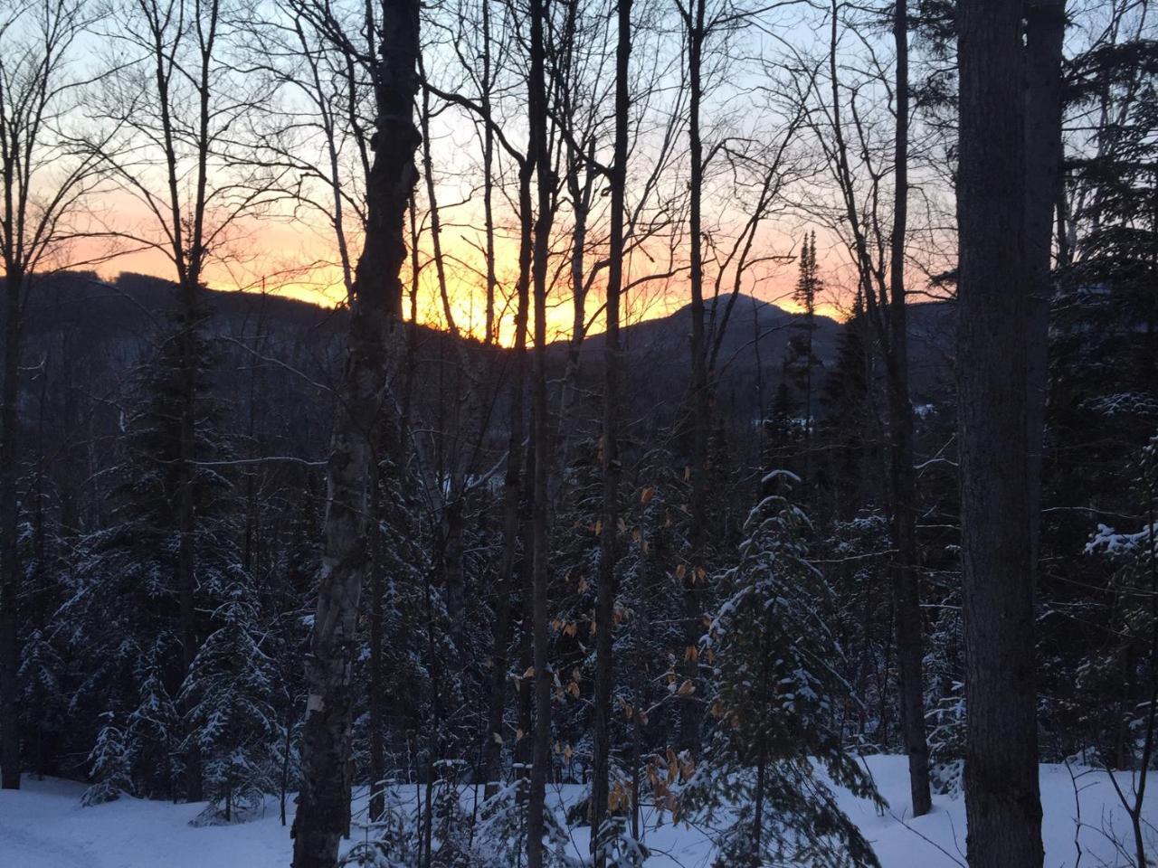 Chalet Nature Laurentides Val-des-Lacs Exterior foto
