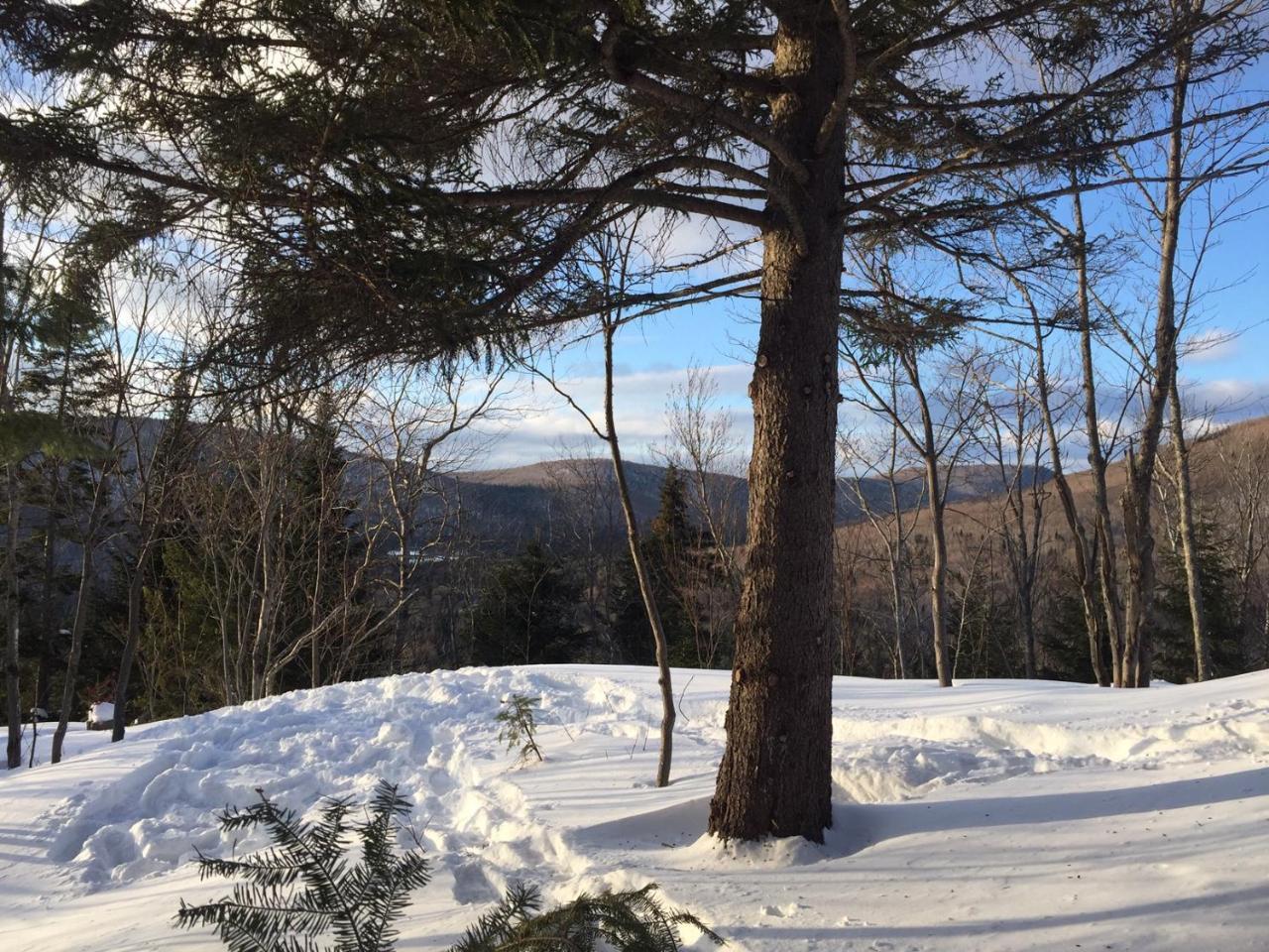 Chalet Nature Laurentides Val-des-Lacs Exterior foto